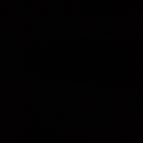 Meet your Posher, Max - Picture 1 of 1